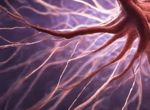 Item #98695163844141812296559601516468632585703412525772017875852753328632600985601 Media