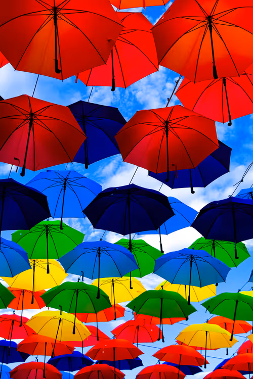 Item #15297189145007819332952477315735476032529554073284948694775240676141340557313 Media