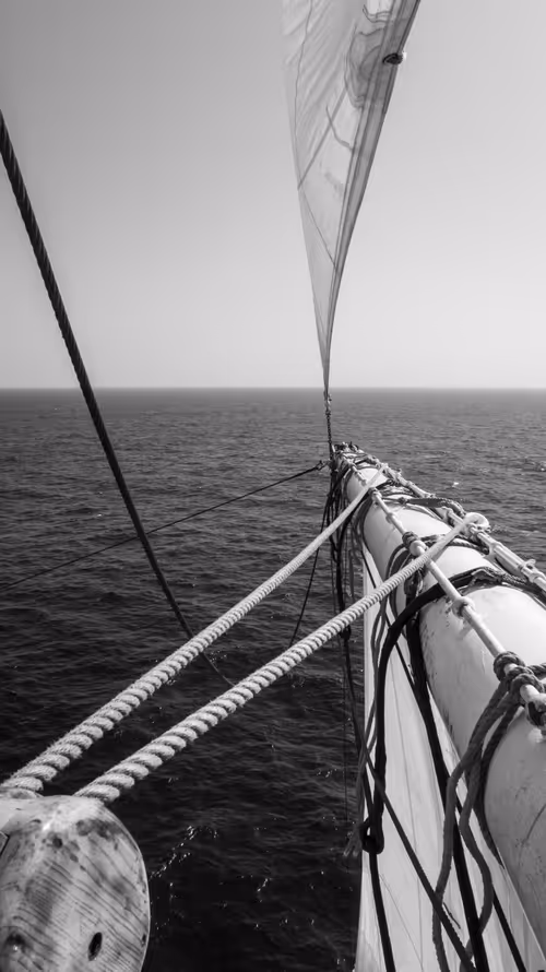 Item #34110083671509346653453586160941404072216291014688644284046702264737861730305 Media