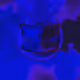 27261951395938033071685549502531831327604500360266362128968655046417523408897