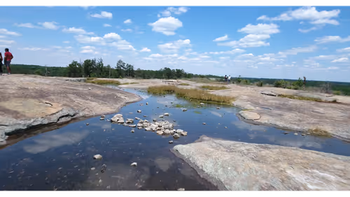 Item #113725122545885922540866078061633619931053670481460484884514337089587572113409 Media