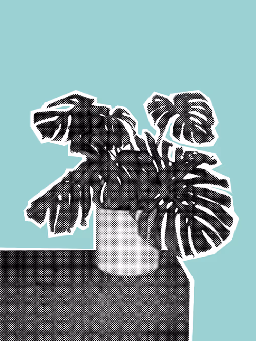 Item #25379124807980713745219244606437574046087384809022650852355167112620423512065 Media