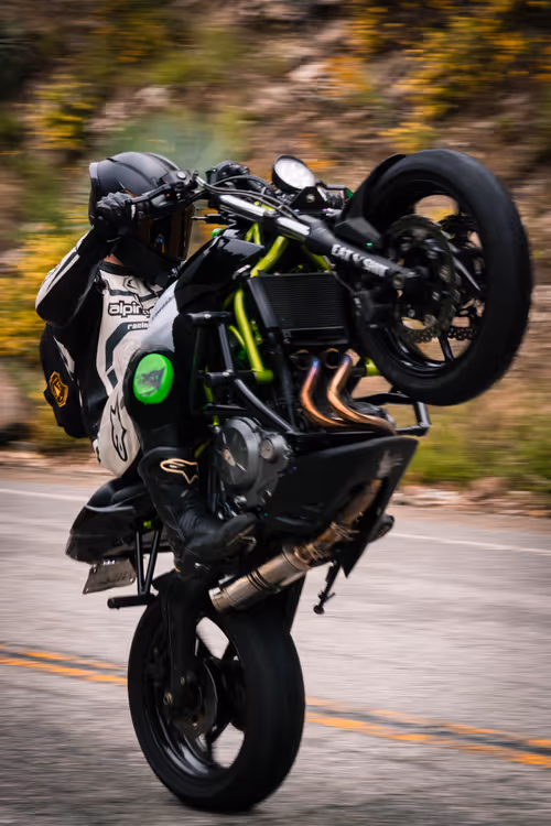 Item #27437682578888391608667975873032567693700109062678129404741446870589941743617 Media