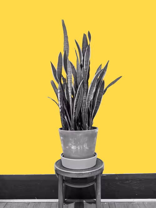 Item #25379124807980713745219244606437574046087384809022650852355167095028237467649 Media