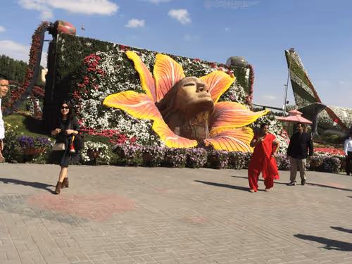 Item #13968726059347532090623550307795009463851395019365410599953871025752405804704 Media