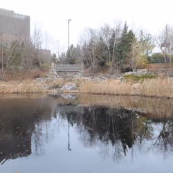 North End of Centennial