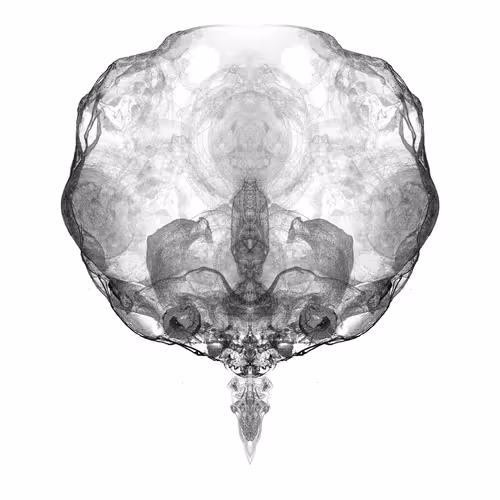 Item #85859191866638808365331437874953228966785819470149775310971063318690970730497 Media