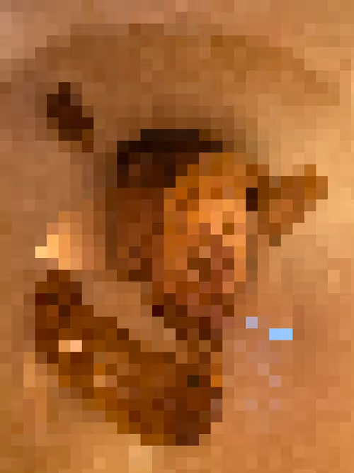 Item #2850415134272365380187775685678842410458265265709128331682257527166491164673 Media