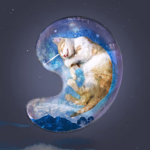 Item #33953014635055735095899395155224477047993903503321753692210699064354791227393 Media