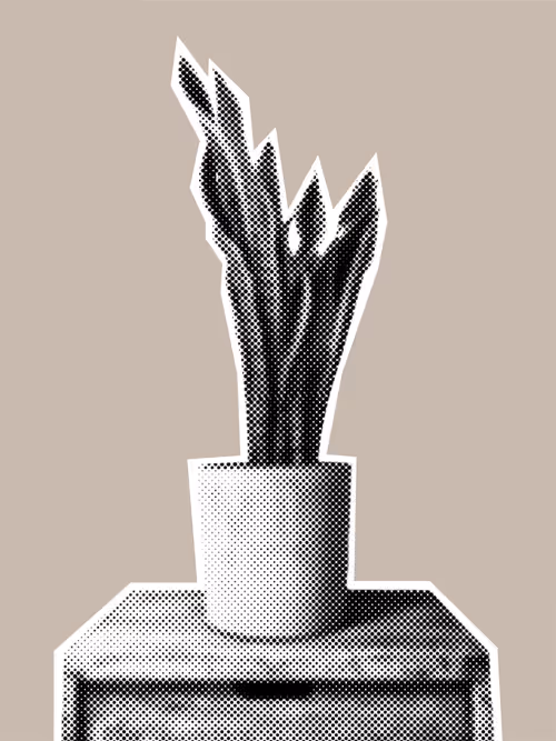 Item #25379124807980713745219244606437574046087384809022650852355167100525795606529 Media