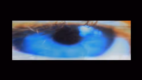 Item #79121768575836653116115036857175174717978927000590659273239190026782924341249 Media