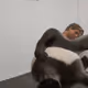 6757402188646734231308439431512465463163638286389404818059890613734093094922