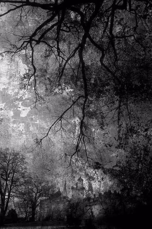 Item #40160686583094733528677484039903516258611509642019211679321071470464328531969 Media