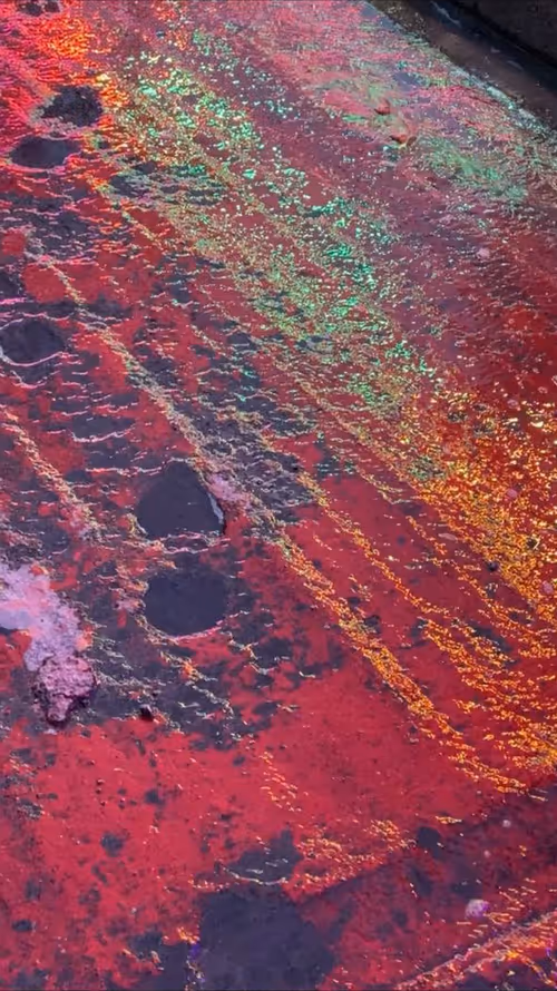 Item #62402000334580523921237358418718502457721815832787791947048085135367411335169 Media