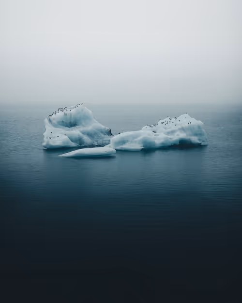 Item #3675481411317596523649091696801759419370078050223984411814034744807505526785 Media