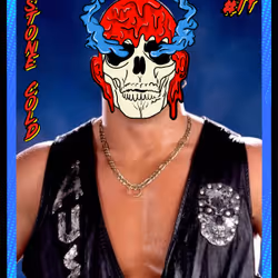 #17 Stone Cold