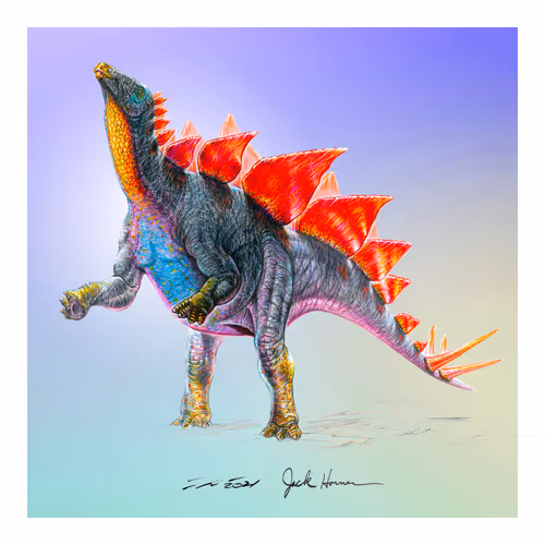 Item #22582927822880265950669941219355019494534003366966592492782895232475826487297 Media