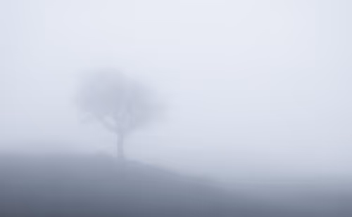 Item #96661707284894299444635219906598425654694917167299737376541026796709211013121 Media