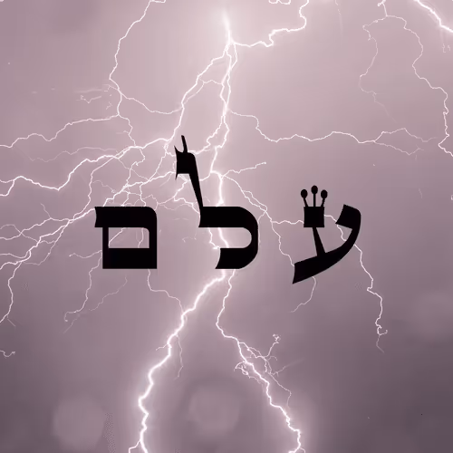 Item #60261209402415139582755570421670089329548312864668202741056927143387084095489 Media