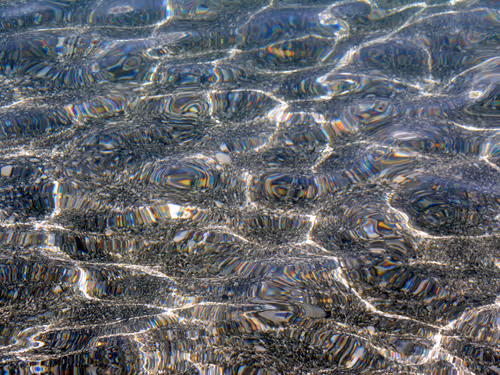 Item #34419557654745239664561952341070436504868109465490192834981352981866695622657 Media