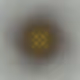 7594892400477835774619828048825431371448042596121135774540630232580025745409