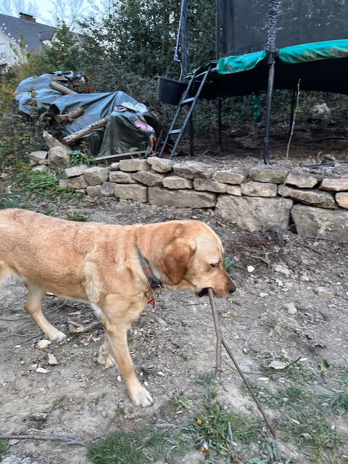 Item #12760692904085986313290985143799984151915019993491600361970975741176860114945 Media