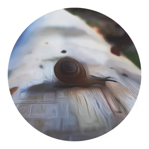 Item #73474911565276893363269127585336255498112534630235322163062143078751195365377 Media