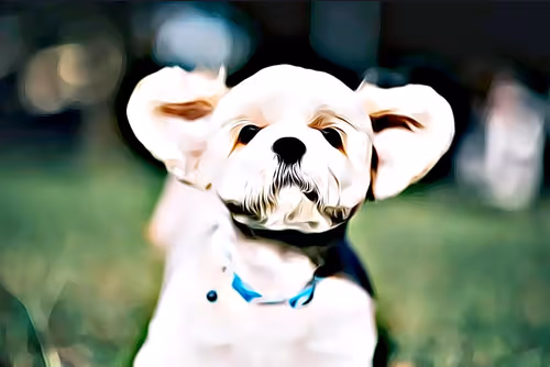 Item #21607923784025543658024067331009769919395041958272689574271021159544296308737 Media