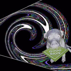 Rare Ghost monkey Laser Pit (#2 of 10)