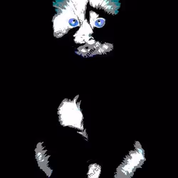 23538819986925566434507765811444276093104658907602947149672917245950905286657