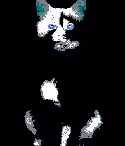 23538819986925566434507765811444276093104658907602947149672917245950905286657