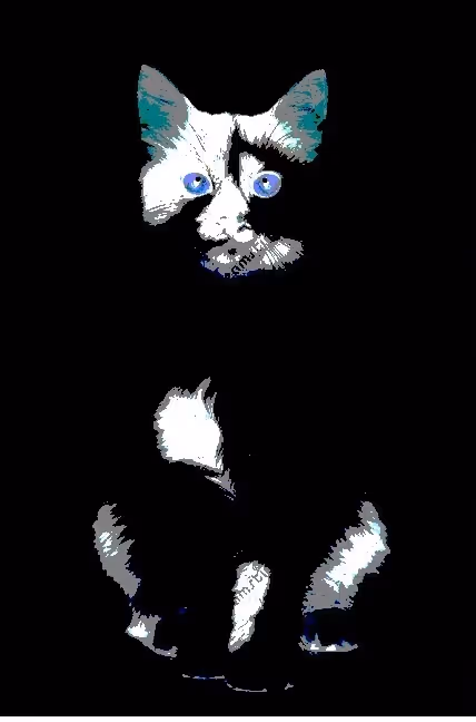 Item #23538819986925566434507765811444276093104658907602947149672917245950905286657 Media