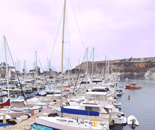 Item #82527419430776432677609198489525539692500095051269265648102109246322542379009 Media