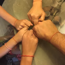 Family Hands