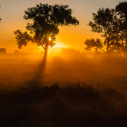 Sun is rising up the day everyday