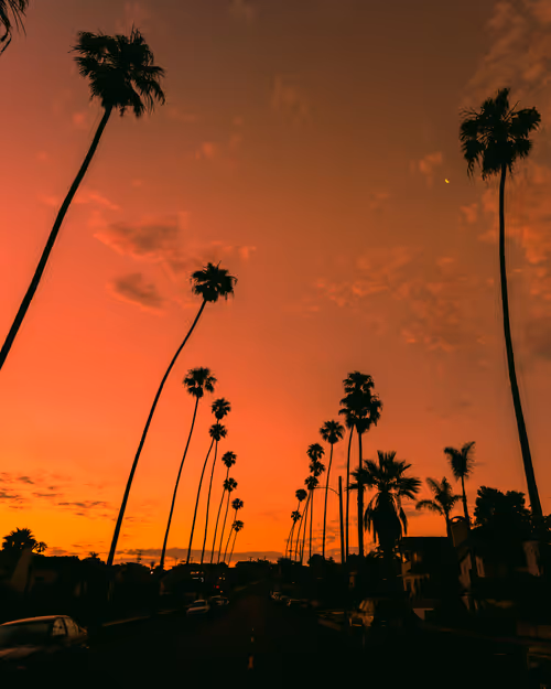 Item #91501497008151221125596935841676000512183505427004855270702190569756616032257 Media