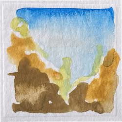 002 joshua tree