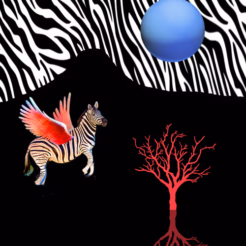 Zebrapegasus EH1YQAhqMM