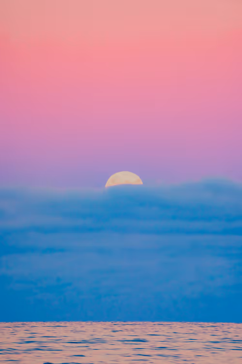 Item #31148491636585346537962268963820775448082611887353853734618727435323073101825 Media