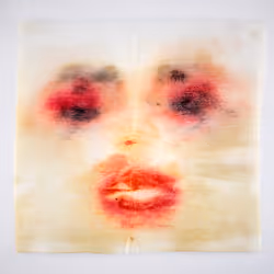 34437631450582783918262521247157200315714719176273242146482300013903544844289