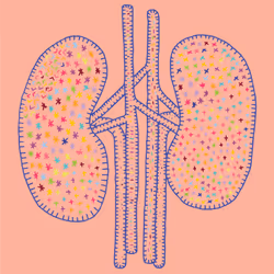 28824502245252267217549902857601847351510039266873569823091148506475551260673