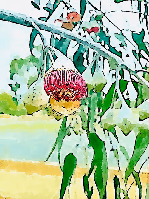 Item #23586274718377853504826207668531862457816485670593798671801516775859344637957 Media