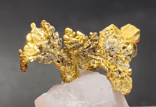 Purpuratum Collection