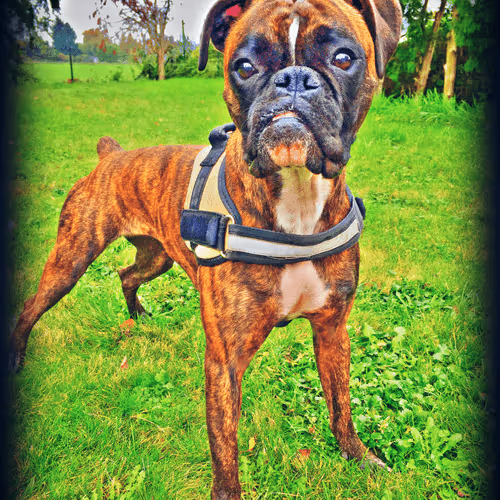 Untitled Collection #59372048