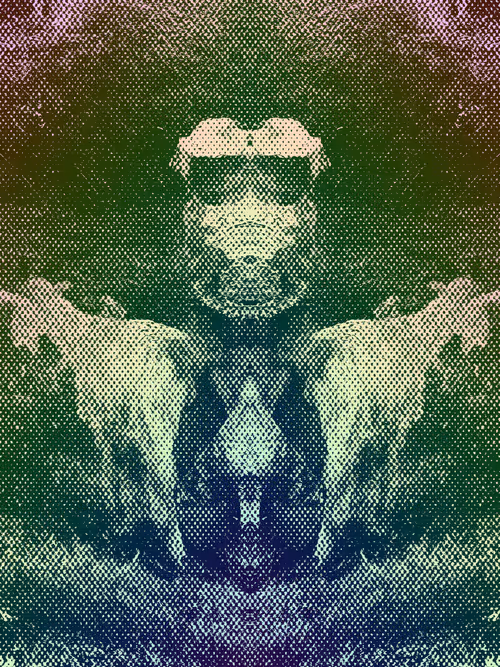 Item #66615337082846715430083206750034599446968111767634792547326129764094927962113 Media