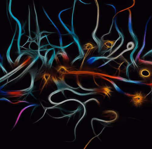 Neural By Machine