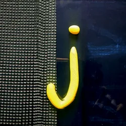 42502377884493822439484110895335049498054174976923948741203377807572135313409