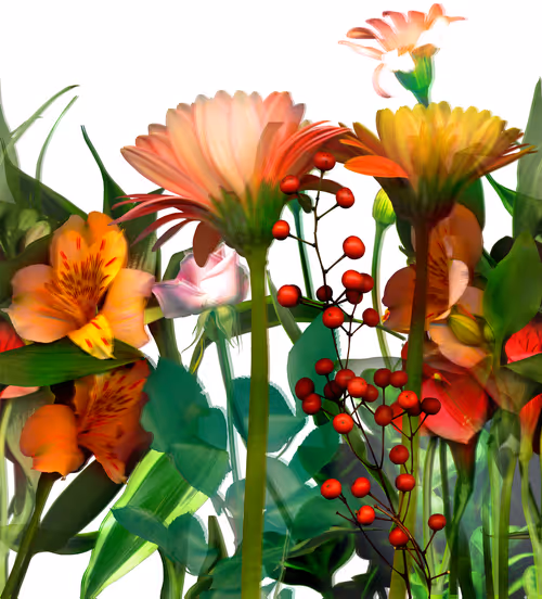 Item #86557912818240778060873576811473498554529608658908516989609402618385486839809 Media