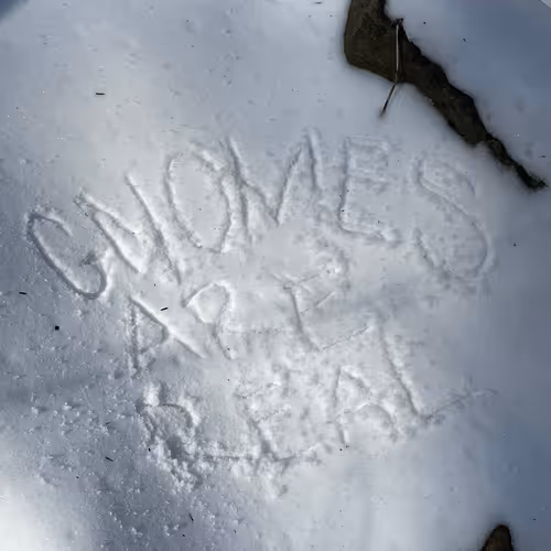 gnomes are real