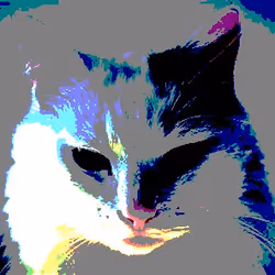 TABBY Billeownaire #7